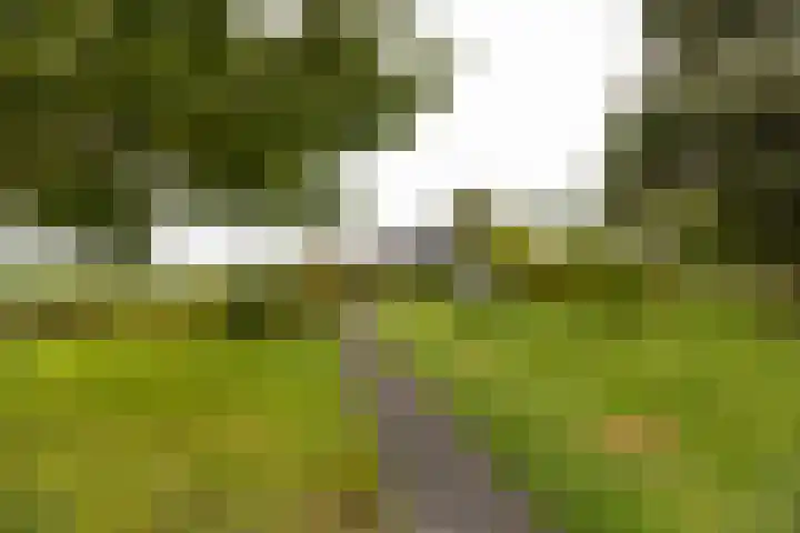 Kromme Spieringweg 349 Vijfhuizen thumbnail 29