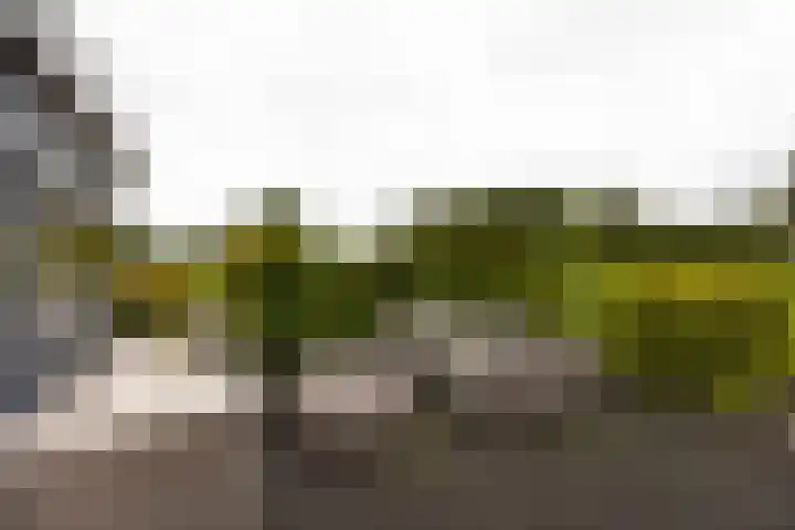 Kromme Spieringweg 349 Vijfhuizen thumbnail 4