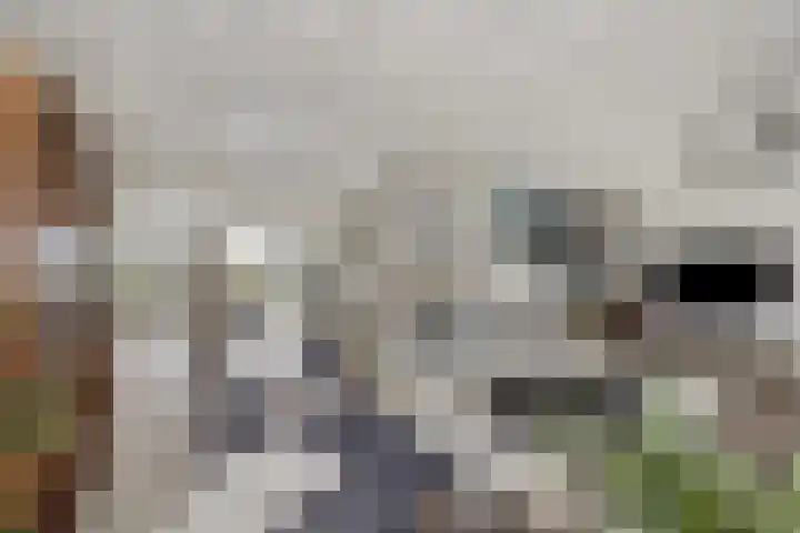 Kromme Spieringweg 349 Vijfhuizen thumbnail 5