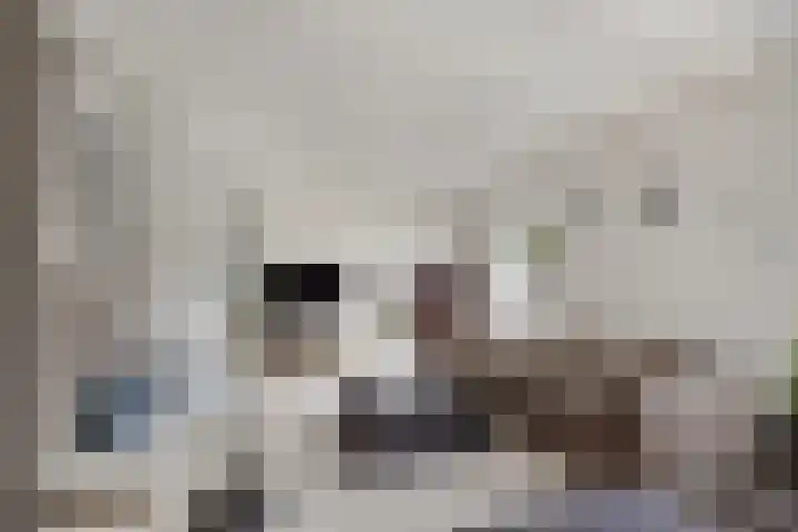 Kromme Spieringweg 349 Vijfhuizen thumbnail 6