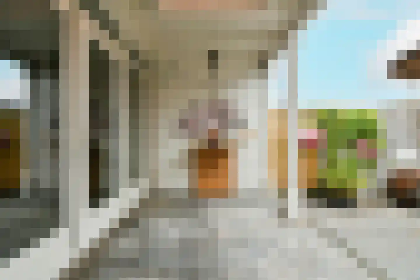 Kromme Spieringweg 390 Vijfhuizen thumbnail 20