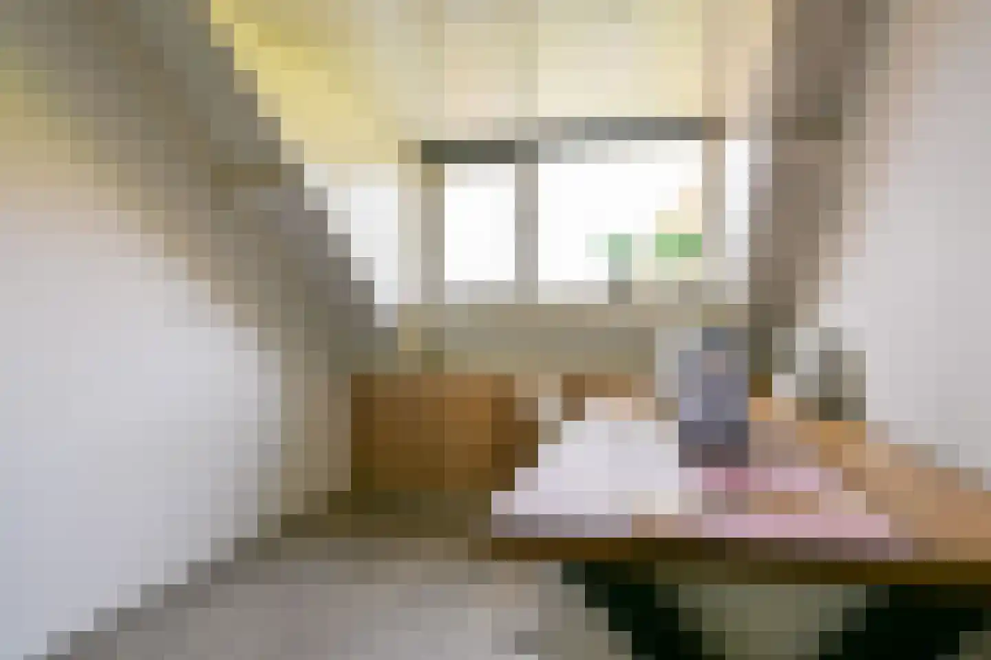 Kromme Spieringweg 390 Vijfhuizen thumbnail 33