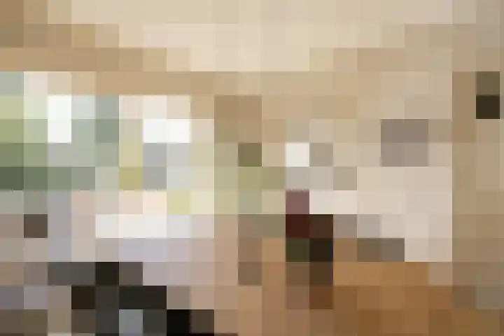 Kromme Spieringweg 454 Vijfhuizen thumbnail 10