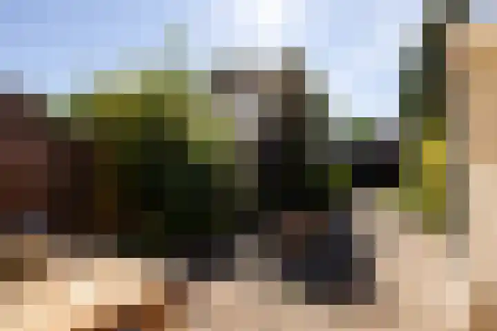 Kromme Spieringweg 454 Vijfhuizen thumbnail 15