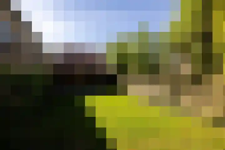 Kromme Spieringweg 454 Vijfhuizen thumbnail 18
