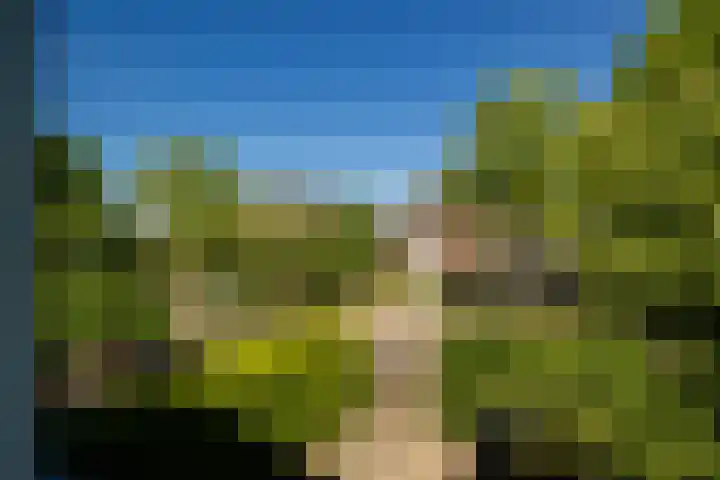 Kromme Spieringweg 454 Vijfhuizen thumbnail 35