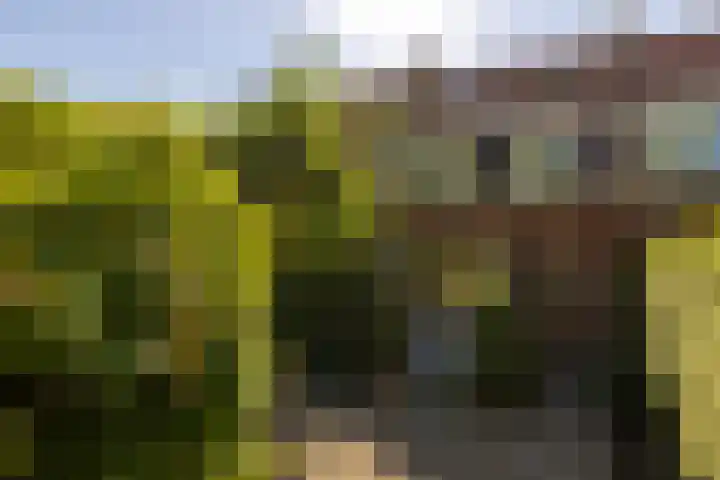 Kromme Spieringweg 454 Vijfhuizen thumbnail 41