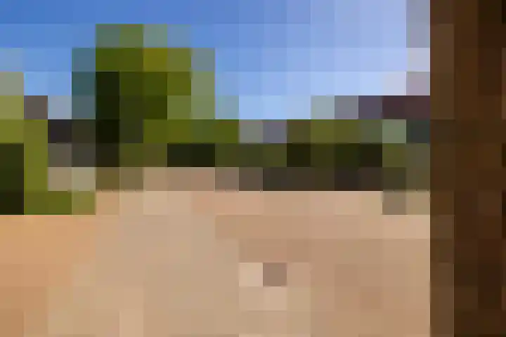 Kromme Spieringweg 454 Vijfhuizen thumbnail 43
