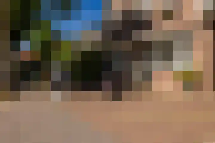 Kromme Spieringweg 454 Vijfhuizen thumbnail 44