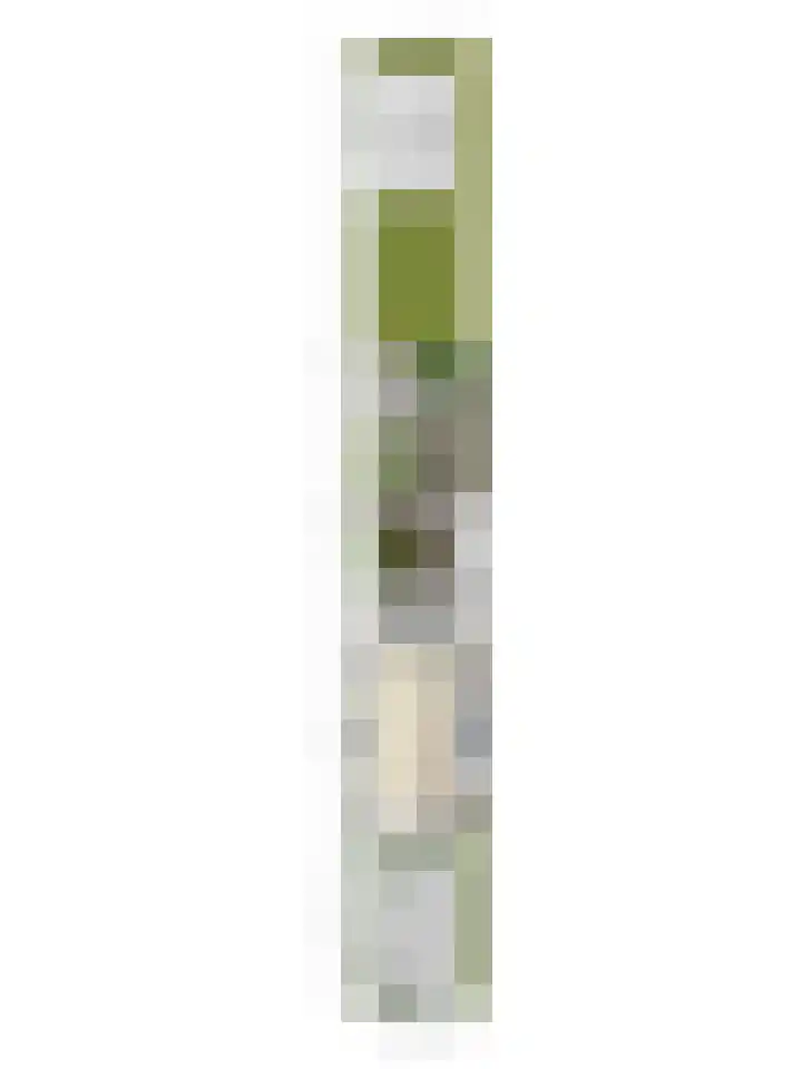 Kromme Spieringweg 454 Vijfhuizen thumbnail 45