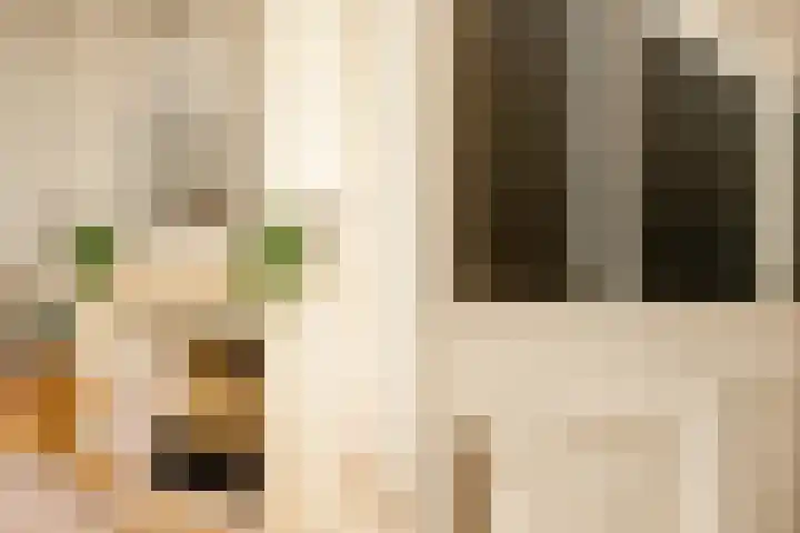 Kromme Spieringweg 454 Vijfhuizen thumbnail 5