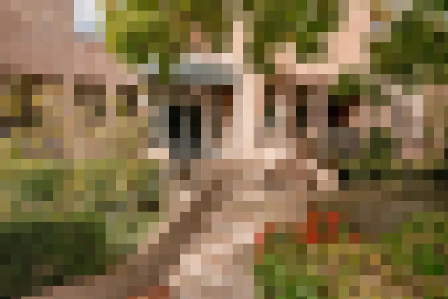 Kromme Steenweg 401 Helmond thumbnail 8