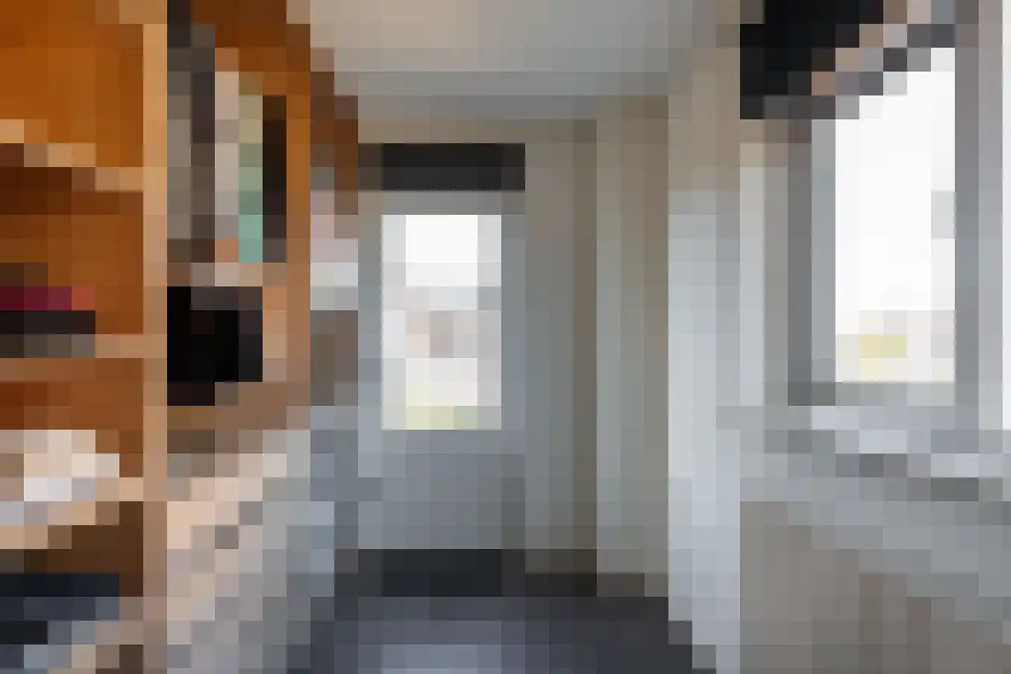 Kromme Stelakker 14 Cothen thumbnail 21