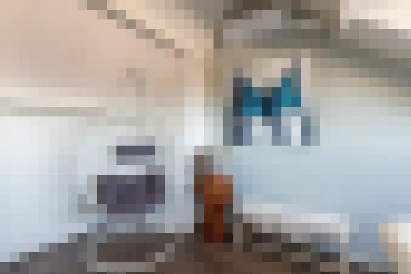 Kromme Stelakker 14 Cothen thumbnail 30