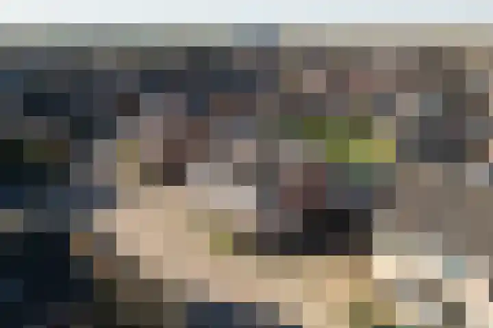 Kromme Stelakker 14 Cothen thumbnail 39
