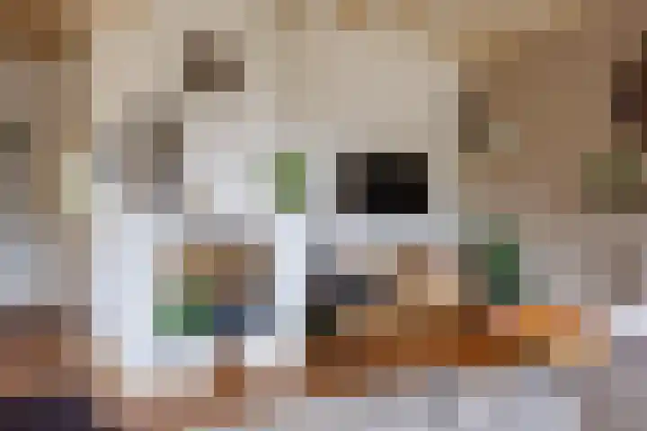 Kromme Stelakker 27 Cothen thumbnail 12