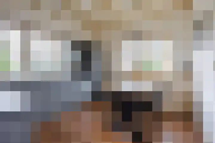 Kromme Stelakker 27 Cothen thumbnail 15