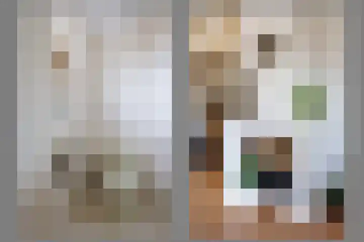 Kromme Stelakker 27 Cothen thumbnail 18