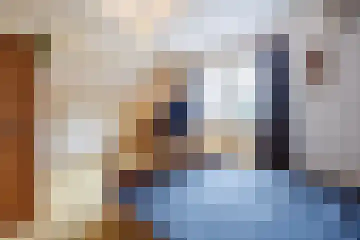 Kromme Stelakker 27 Cothen thumbnail 24