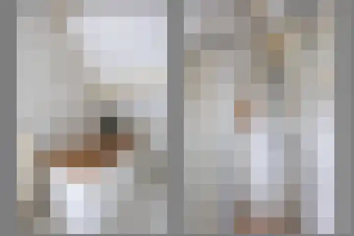Kromme Stelakker 27 Cothen thumbnail 32
