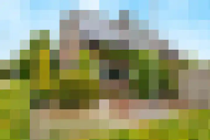 Kromme Stelakker 27 Cothen thumbnail 38