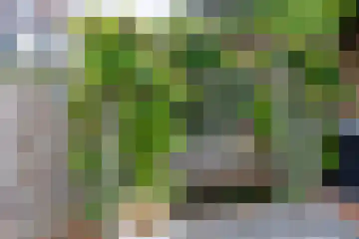 Kromme Stelakker 27 Cothen thumbnail 40
