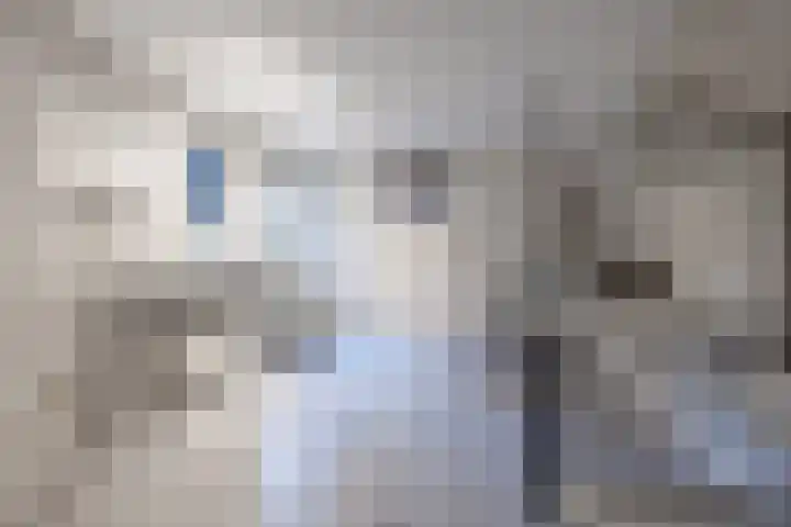 Kromme Stelakker 27 Cothen thumbnail 44