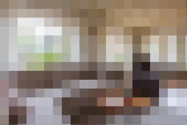 Kromme Stelakker 27 Cothen thumbnail 9