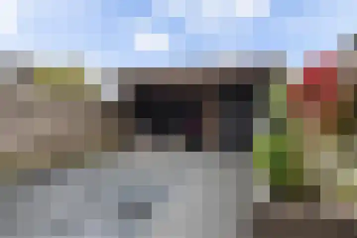 Kromme Stelakker 42 Cothen thumbnail 17