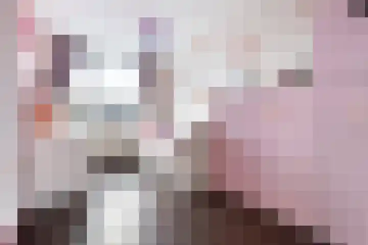 Kromme Stelakker 42 Cothen thumbnail 27