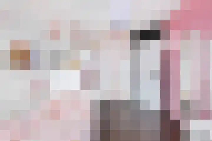 Kromme Stelakker 42 Cothen thumbnail 28