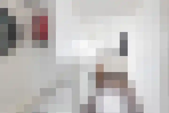 Kromme Stelakker 42 Cothen thumbnail 35