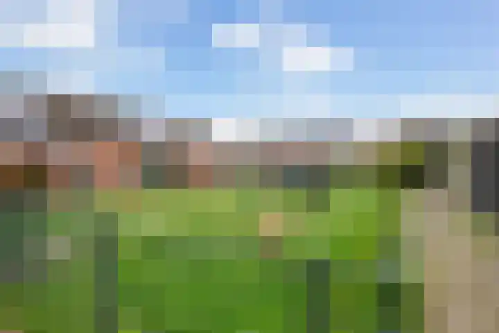 Kromme Stelakker 42 Cothen thumbnail 41