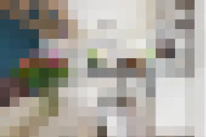 Kromme Stelakker 42 Cothen thumbnail 9