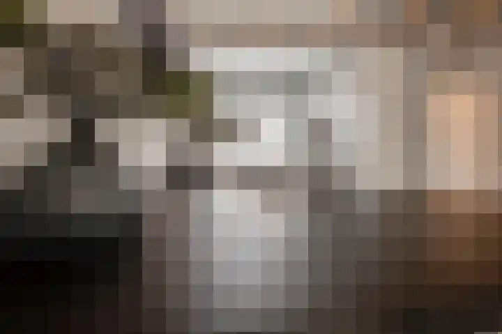 Kromme Stelakker 71 Cothen thumbnail 15