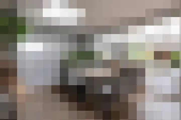 Kromme Stelakker 71 Cothen thumbnail 23