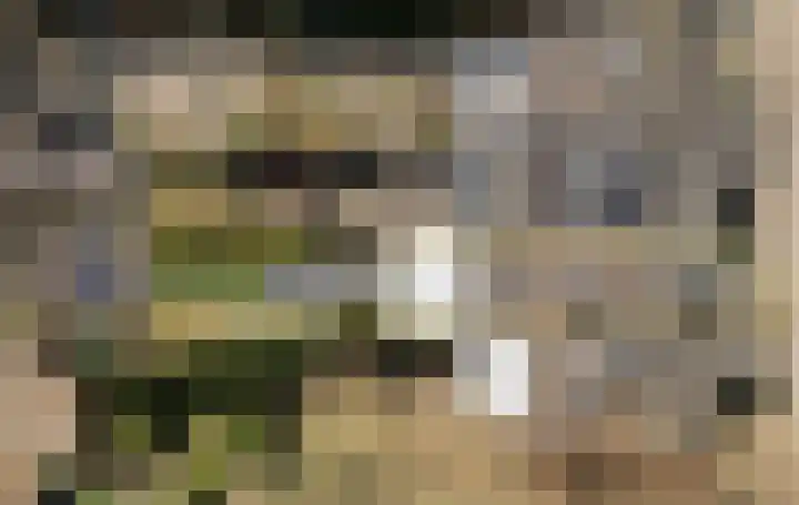 Kromme Stelakker 71 Cothen thumbnail 65