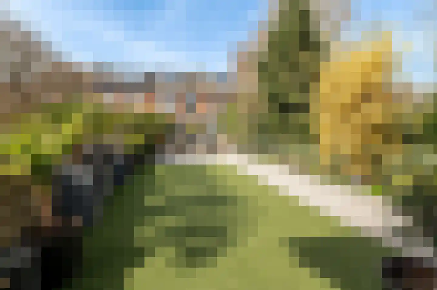 Kromme Stelakker 71 Cothen thumbnail 81