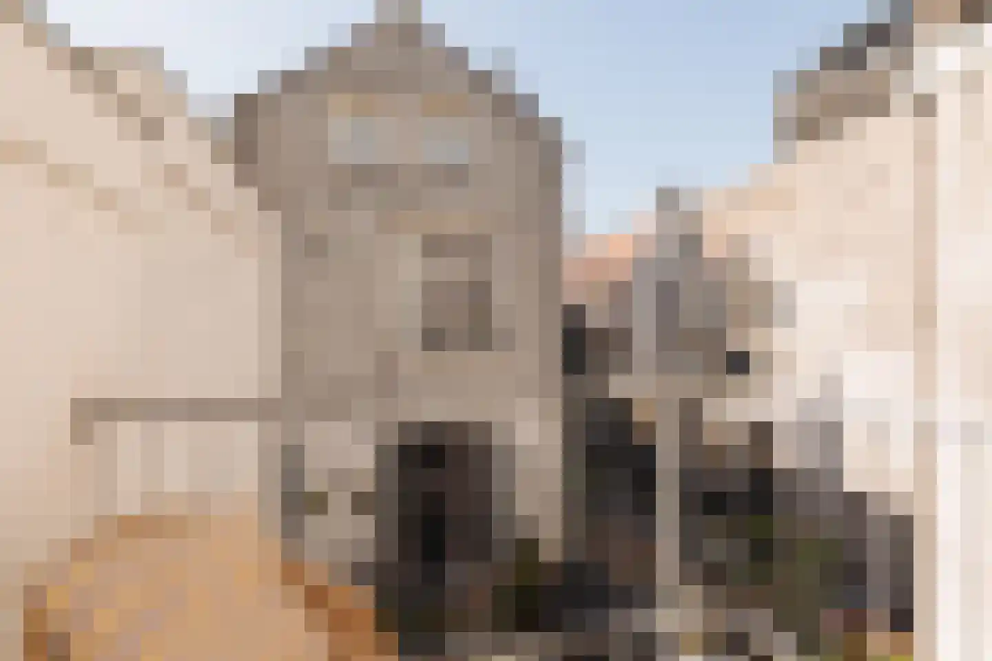 Kromme Waal 11 C Amsterdam thumbnail 5