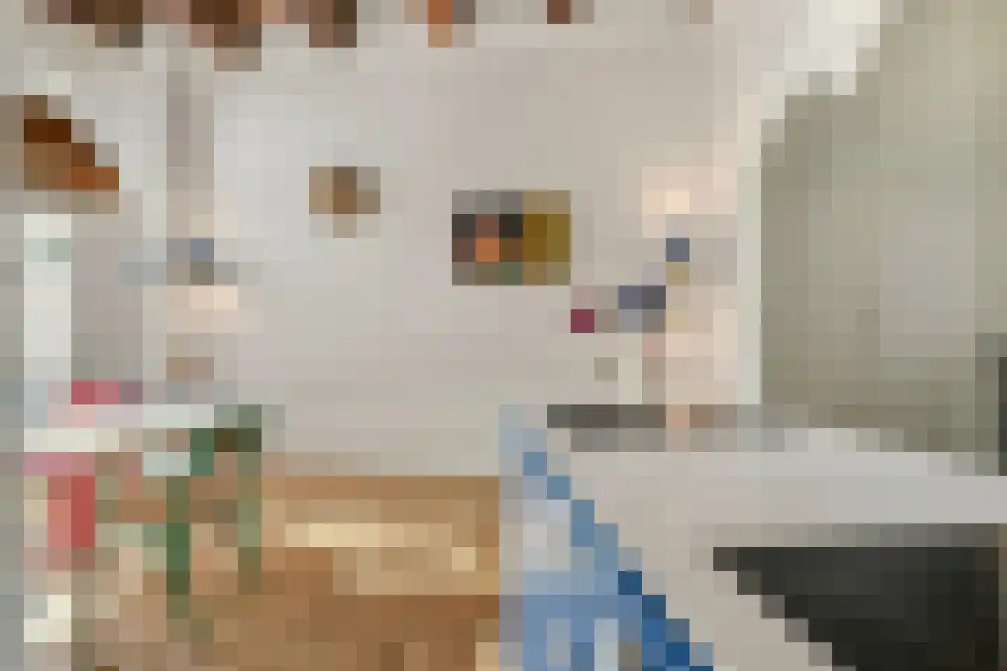 Kromme Waal 16 B Amsterdam thumbnail 7