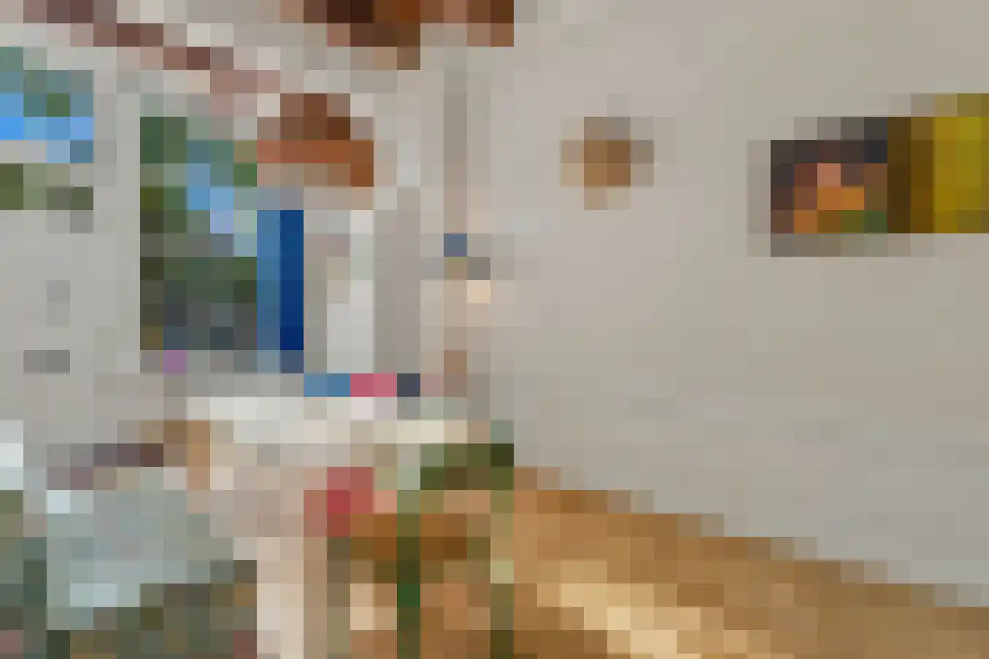 Kromme Waal 16 B Amsterdam thumbnail 8