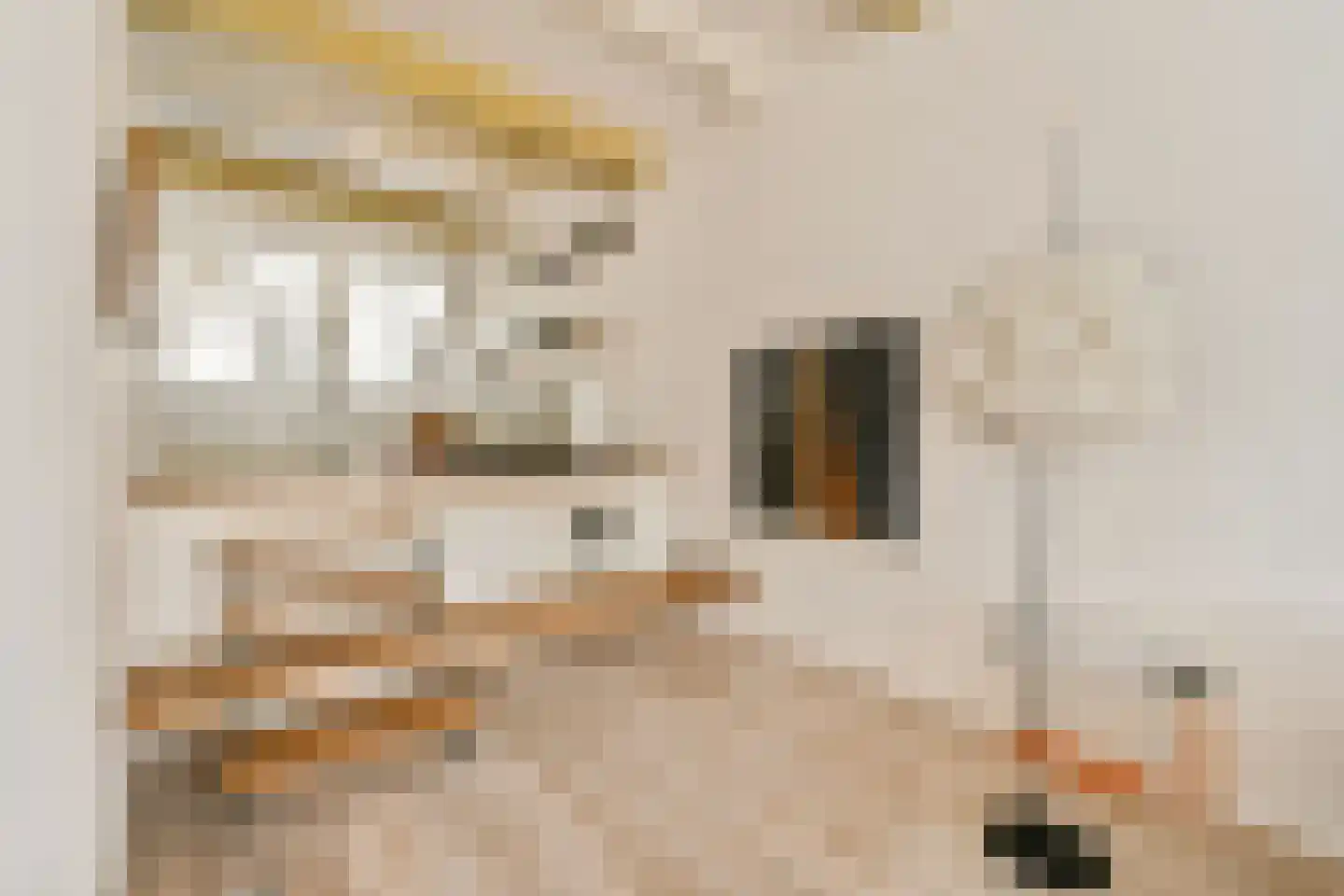Kromme Waal 19 A Amsterdam thumbnail 6