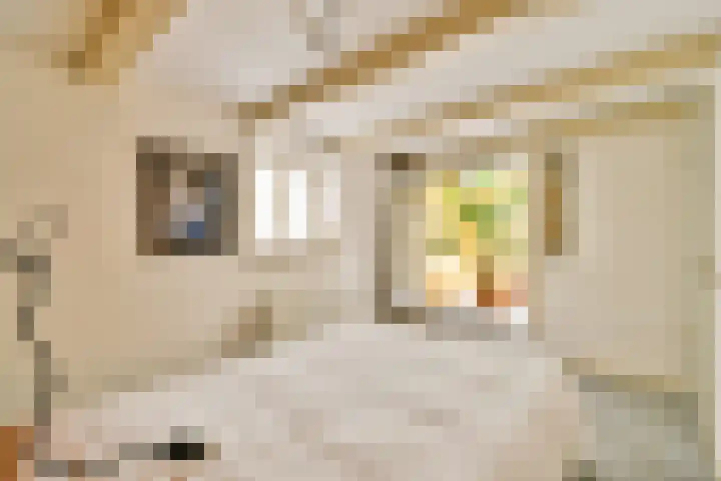 Kromme Waal 19 A Amsterdam thumbnail 9