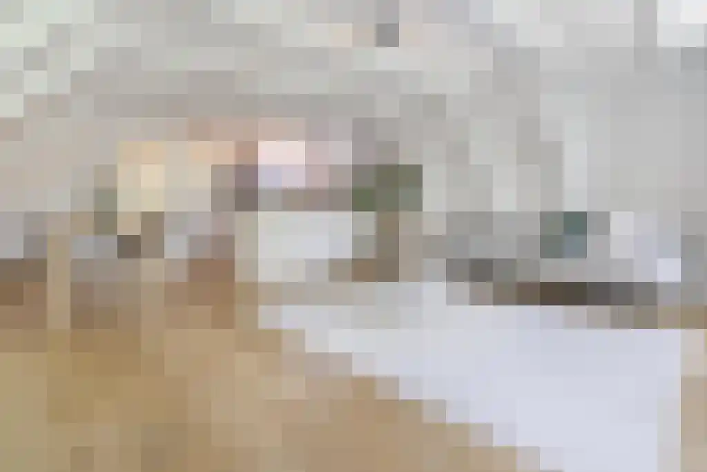 Kromme Waal 19 D Amsterdam thumbnail 7