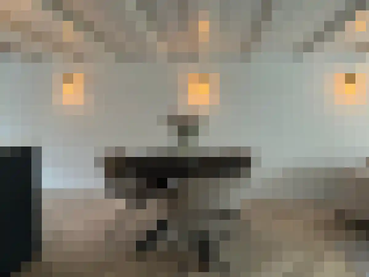 Kromme Waal 20 Amsterdam thumbnail 4