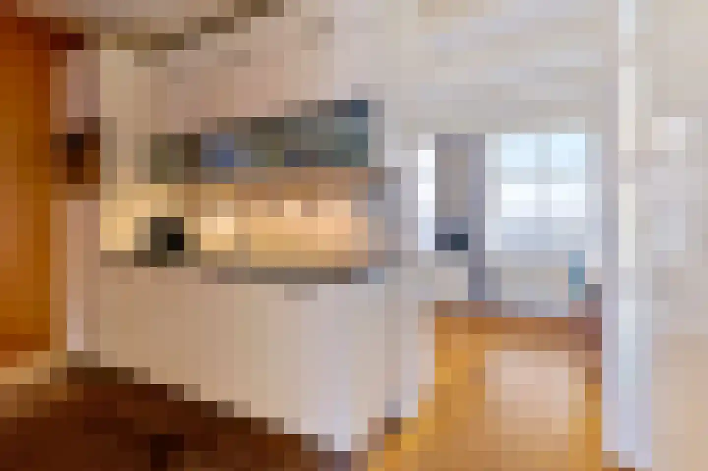 Kromme Waal 26 A Amsterdam thumbnail 9