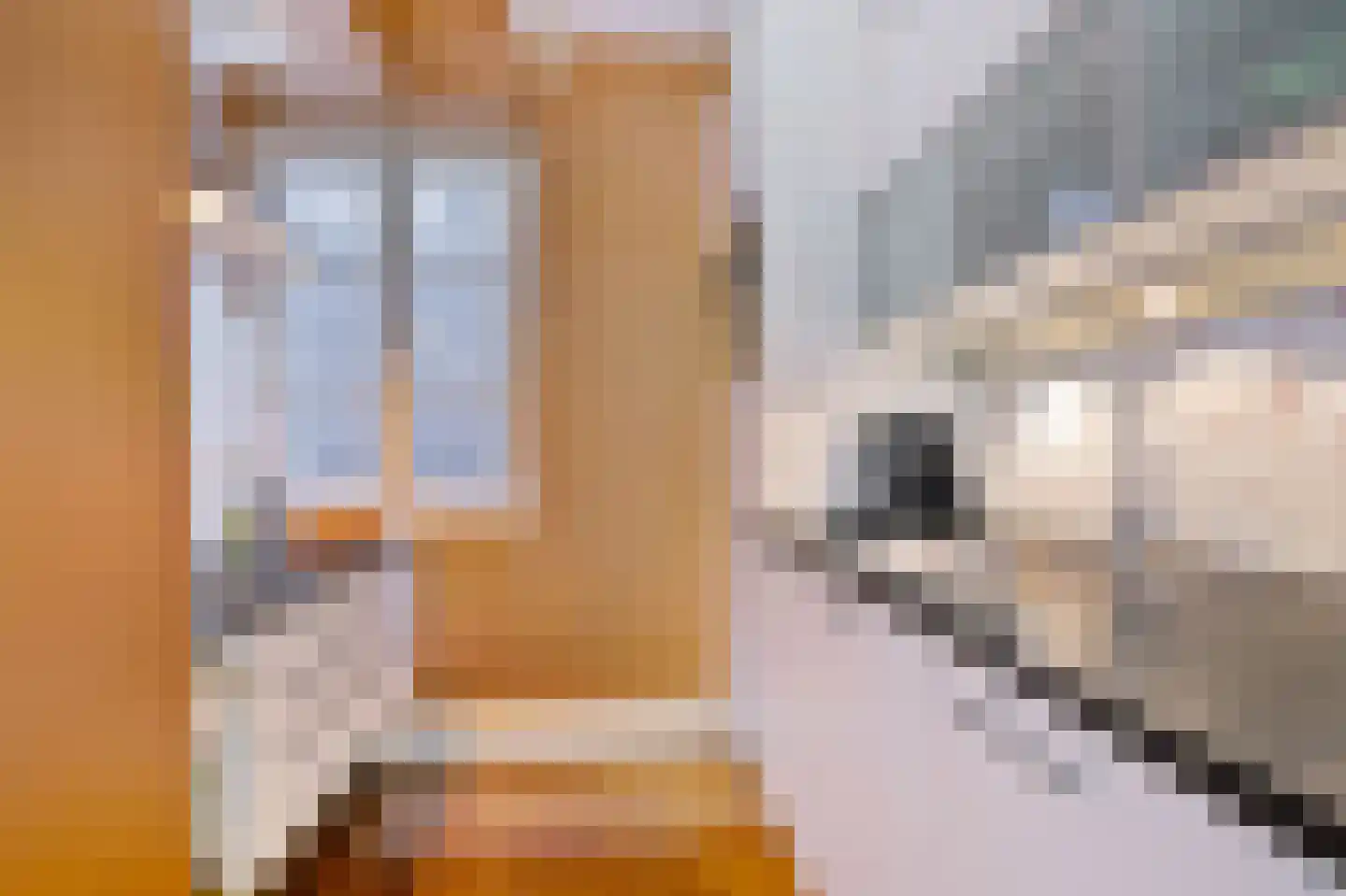 Kromme Waal 26 B Amsterdam thumbnail 4