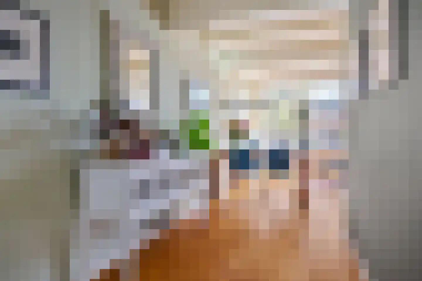 Kromme Waal 26 B Amsterdam thumbnail 5