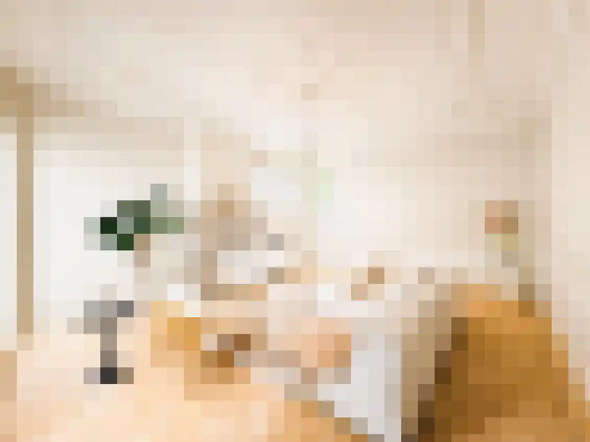 Kromme Waal 29 Amsterdam thumbnail 4