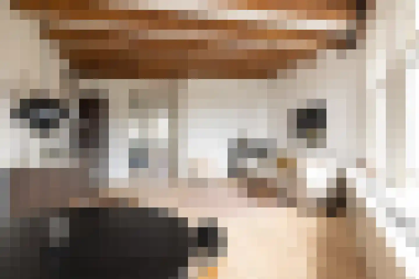 Kromme Waal 36 3 Amsterdam thumbnail 12